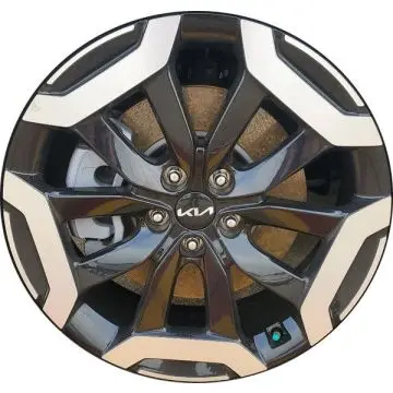 Kia Telluride Wheel Rim Stock Genuine Factory OEM Used Replacement