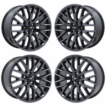 HOL.10036-BLACK-PVD-OW-STG