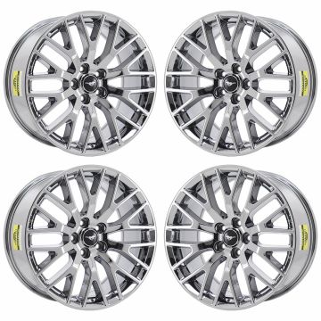 HOL.10036-BRIGHT-PVD-OW-STG