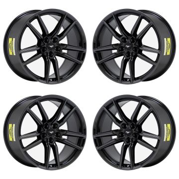HOL.10278-BLACK-PVD (F)-OW