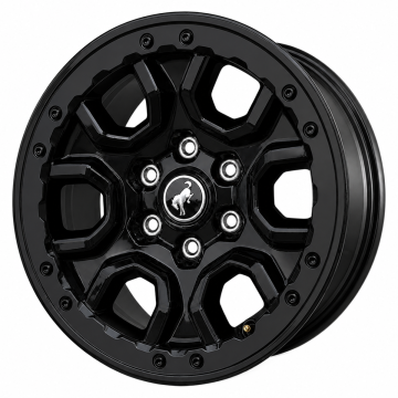 Ford Bronco Wheel Rim Gloss Black 10388 Stock Factory OEM Replacement