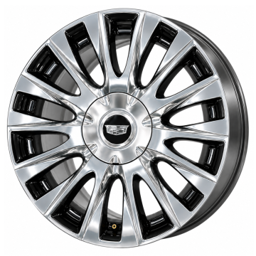 DWT.14170-PBP-A
