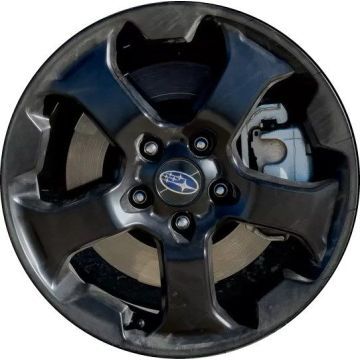 HOL.68891-BBB-GLOSS-A