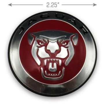 CAP.59873-JAGUAR