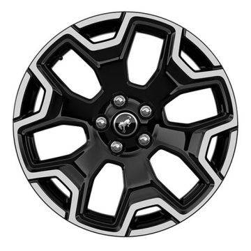 DWT.26BRONCO18-MBM-A