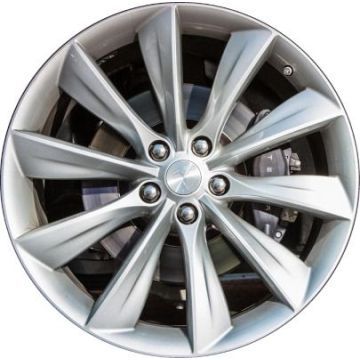 HOL.ALYTA011-SSS-A (F)