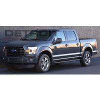 10005_bright_pvd_-_gray_ford_f150