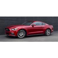 10031-bright-pvd-mustang
